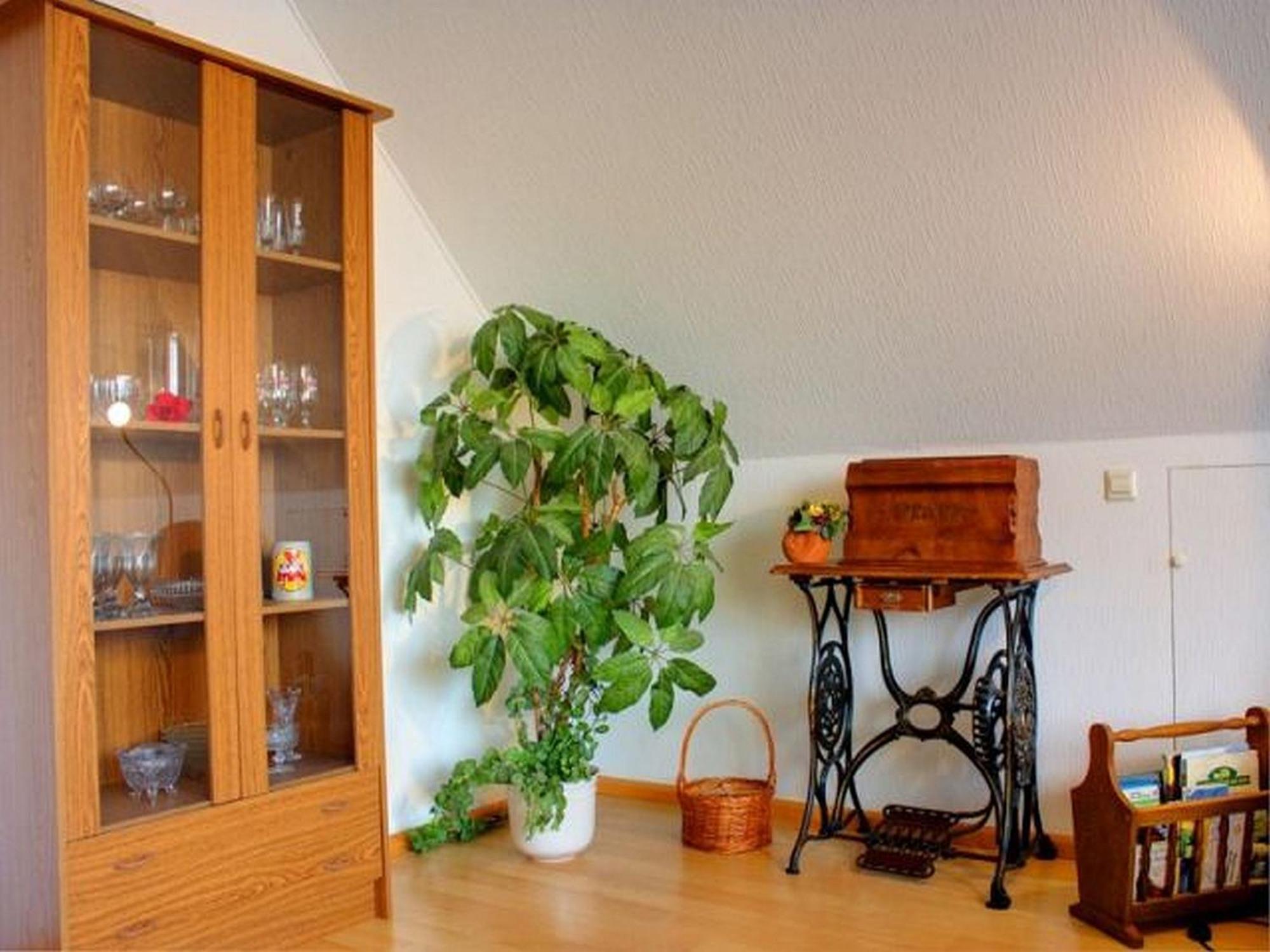 Haus Wehrle Apartment Breisach Exterior photo
